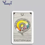 خرید اوراکل روح حیوانی (ناشناخته حیوانات)